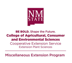 NMSU beBold graphic