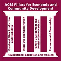 ACES 4 pillars graphic